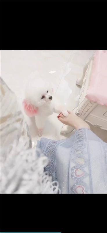 漂亮学生妹儿
