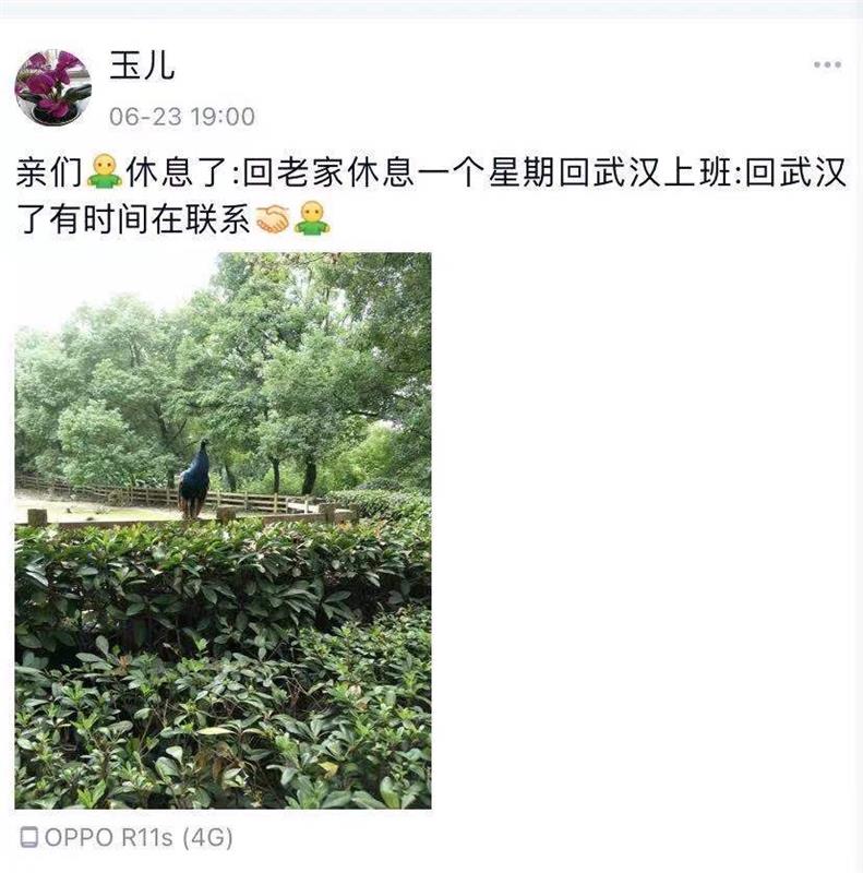 武汉玉儿kw