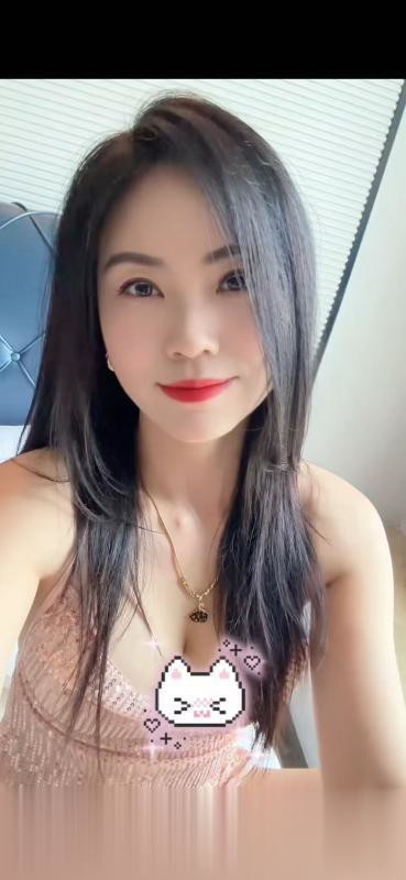 广州花都燕子