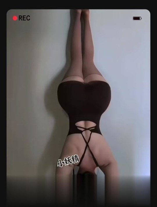 小妖精御姐.